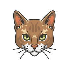 Cute vector illustration of a striped kitten. Ideal for children’s books, pet care themes, and animal related designs
