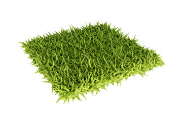 Green grass isolated on a white background. 3d-rendering
