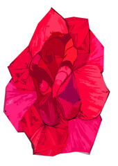 Róża. Autorski rysunek opracowany graficznie. Czerwona róża. Duży kwiat. - obrazy, fototapety, plakaty