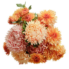 Beautiful autumn bouquet of asters and chrysanthemums isolated on white background.