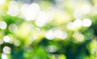 Obraz premium Natural green background