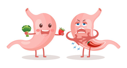 Healthy and unhealthy human stomach characters in cartoon flat style. Healthy diet. Nutrition, stomach pain, bloating. Anatomy of the digestive system. Vector