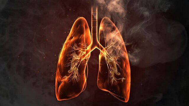 The adverse effects of smoking on the lungs