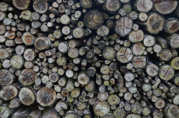Top view of pile of cut wooden logs