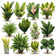 Set of small trees