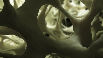 Electron microscope-style 3D animation of healthy spongy bone tissue, with a camera moving across, highlighting its detailed structure.