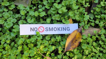 No smoking sign with autumn leaves 