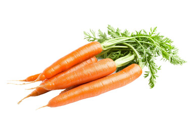 Culinary Adventures with Carrots On Transparent Background.