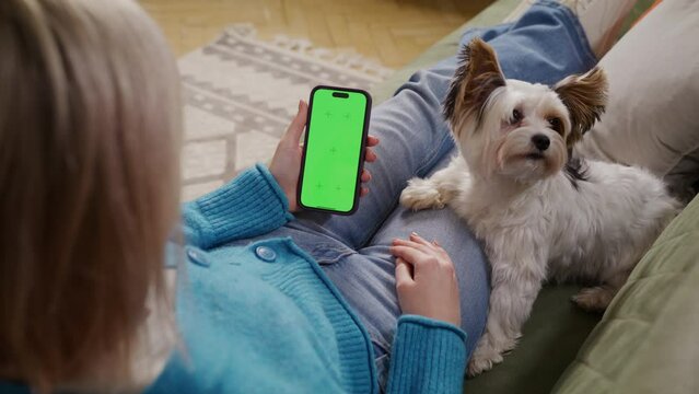 Unrecognizable dog owner holding phone with mock up screen