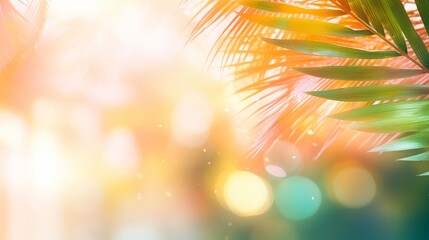 Lush tropical palm leaves backlit by warm sunlight, creating a soft and inviting natural background.
