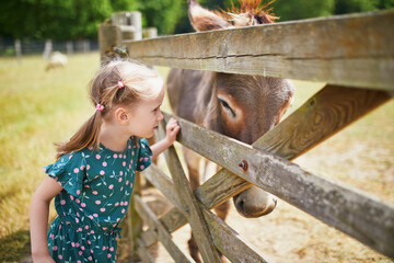Adorable little girl playing with donkey at farm