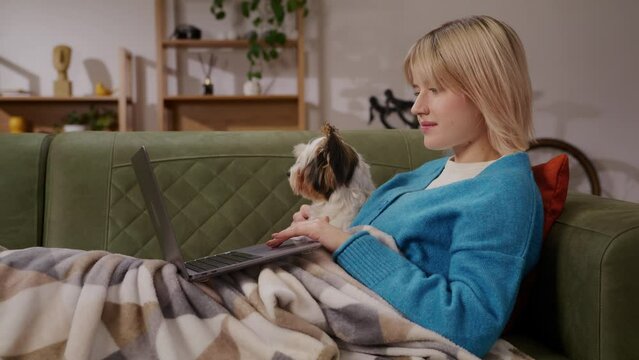 Female looking at computer screen and comforting puppy