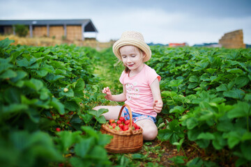 Adorable preschooler girl picking fresh organic strawberries on farm