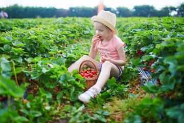 Adorable preschooler girl picking fresh organic strawberries on farm