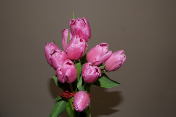 Pink Tulips in a pring Time Bouquet