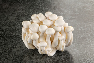 Japanese Shimeji mushroom for cooking