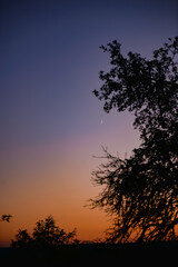 Young crescent moon on a clear sky at the end of the day in the summer
