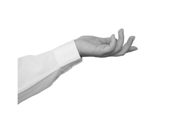Black and white hand in a white shirt holds something isolated on white background - element for collage
