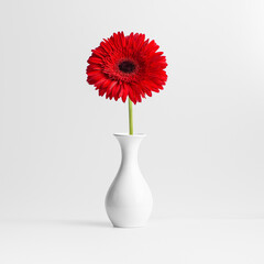 Red flower in a white vase on a white background