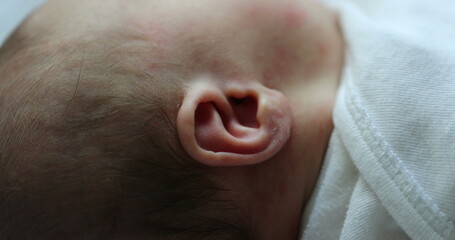 Newborn ear, close-up of infant right ear macro