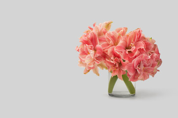 Pink flowers in a vase on a white background