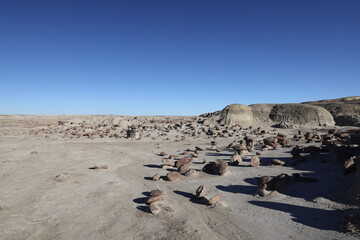 Fototapeta na wymiar Bisti badlands, De-na-zin wilderness area, New Mexico