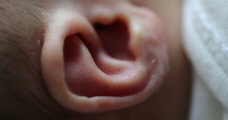 Naklejka premium Newborn macro ear close-up. Infant baby part of the body ear