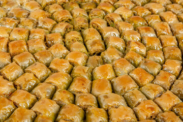 Close up of pistachio baklava on small tray isolated on white background.