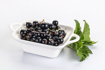 Juicy black currant berries in the bowl