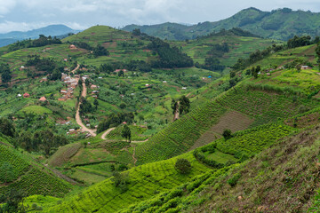 Fototapeta na wymiar Straße schlängelt sich durch malerische grüne Berglandschaft mit Teeplantagen und kleinen Dörfern 