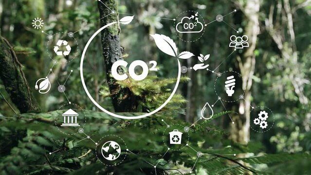 CO2 reduce emissions and carbon neutral concept. Sustainable development and green business based on renewable energy digital icons.2050 long term strategy.Green forest background.4k footage