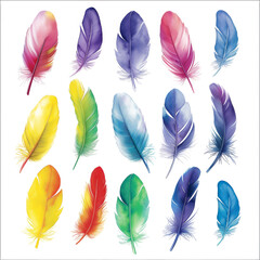 Assorted Colored Feathers on Isolated on Transparent Background