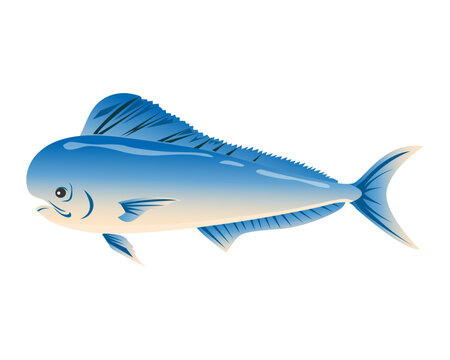 Sea fish tuna on a white background. Zoological concept. Sea animals illustration, vector
