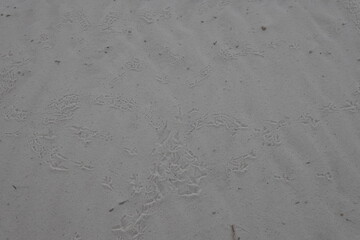 White Sands National Monument New Mexico USA