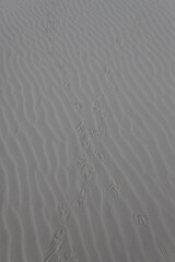 White Sands National Monument New Mexico USA