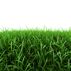 Fototapeta premium A Field of Lush Green Grass on a Isolated on Transparent Background