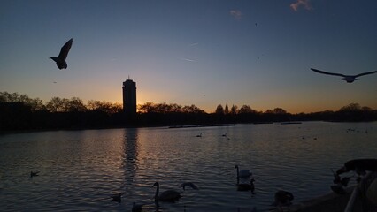 sunset over the lake hyde park