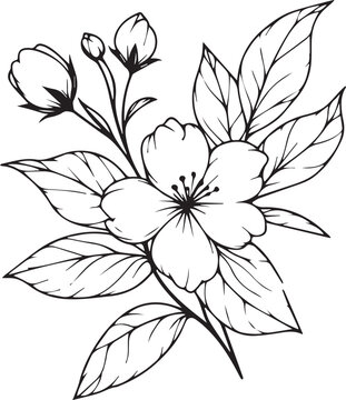 Jasmine flower coloring book hand drawn botanical spring elements bouquet of jasmine flower line art, coloring page, vector sketch, artistic simplicity doodle art, Easy yellow jasmine flower drawing