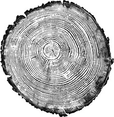 Tree rings texture © Collective Offset