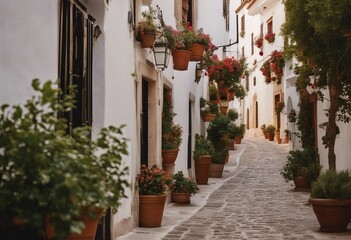 Picturesque narrow street in Spanish city old town Typical traditional whitewashed houses with bloom