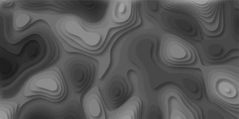 Fotobehang 3D Stylized topographic contour map. Geography scheme and terrain. Topography grid map. Contour map background. Geographic line mountain relief. Abstract lines or wavy backdrop background. © Phenomena