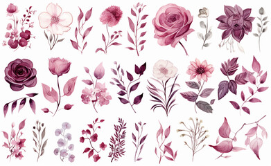 Set watercolor elements of roses collection garden red, burgundy flowers, leaves, branches, Botanic illustration isolated on white background.