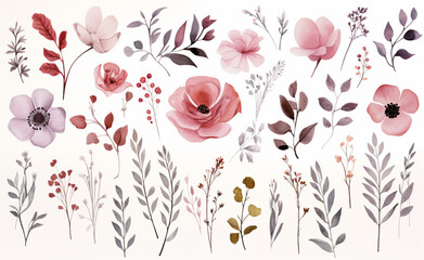 Set watercolor elements of roses collection garden red, burgundy flowers, leaves, branches, Botanic illustration isolated on white background. - obrazy, fototapety, plakaty