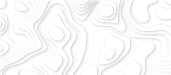 Abstract white background with paper cut out layers .Luxury paper cut background, Abstract decoration .Vector illustration. Material design. Paper cutting texture. Applicable for business banner.