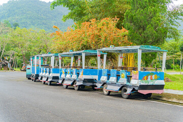 Passenger trailers.
Steam trains for tourists in Yang Bay Park near Nha Trang in Vietnam.