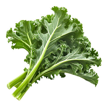 Rapini broccoli rabe isolated on transparent background