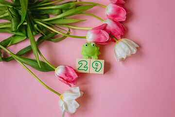 Green frog toy on a pink background with tulip flowers and a number on wooden cubes February 29th.