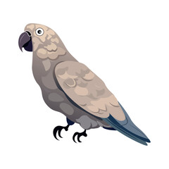 Parrots of colorful set. In this imaginative artwork a magnificent parrot Ara is portrayed in a vibrant cartoon design, adding a burst of color to the serene white canvas. Vector illustration.