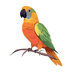 Parrots of colorful set. A magnificent and brilliantly colored parrot Ara is brought to life in a vibrant cartoon design against a white background. Vector illustration.