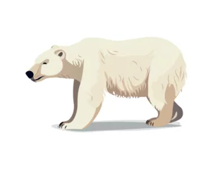 Foto op Canvas Bear of colorful set. This illustration captures the essence of the polar regions, featuring a lovable polar bear in a cute cartoon style. Vector illustration. © Andrey